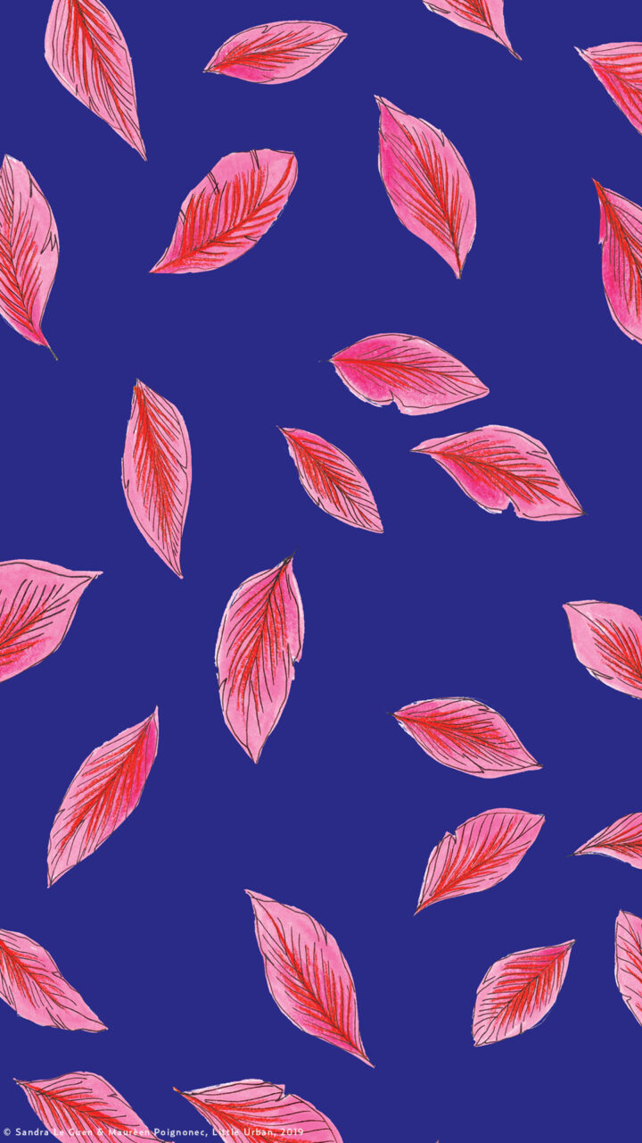 Taxi-baleine