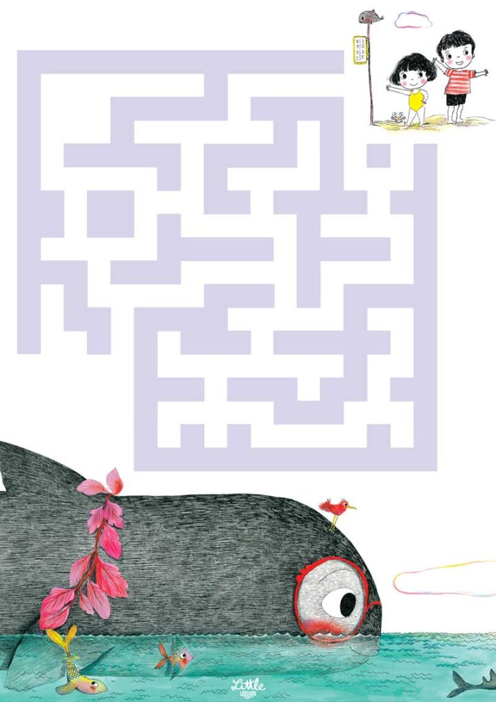 Le labyrinthe Taxi-baleine