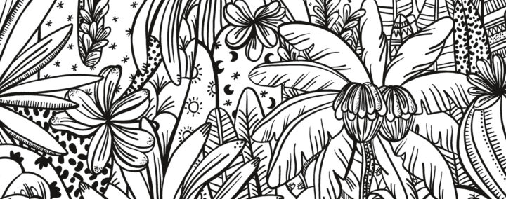 Coloriage – À la recherche des trois flamants roses