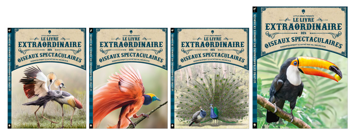 Dans les coulisses du Livre extraordinaire