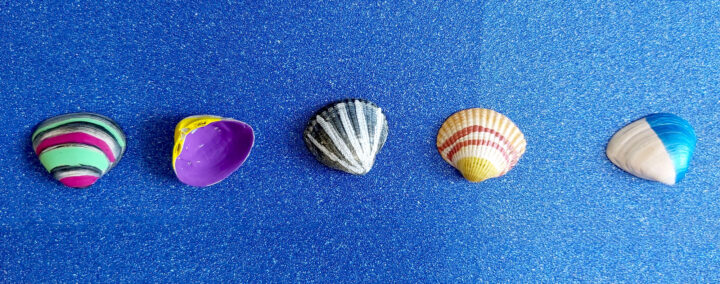 décore tes coquillages