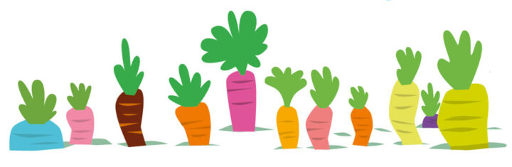 Savez-vous planter des carottes… bleues ?