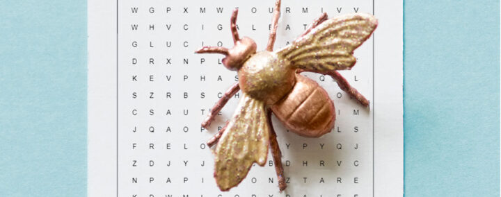 Mots mêlés insectes et araignées