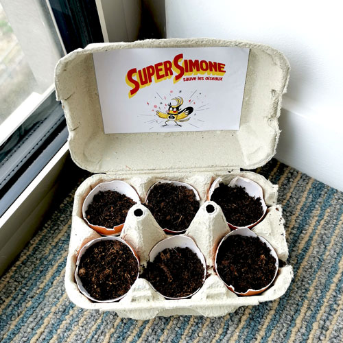 Atelier – Fais pousser de Super graines avec Simone !