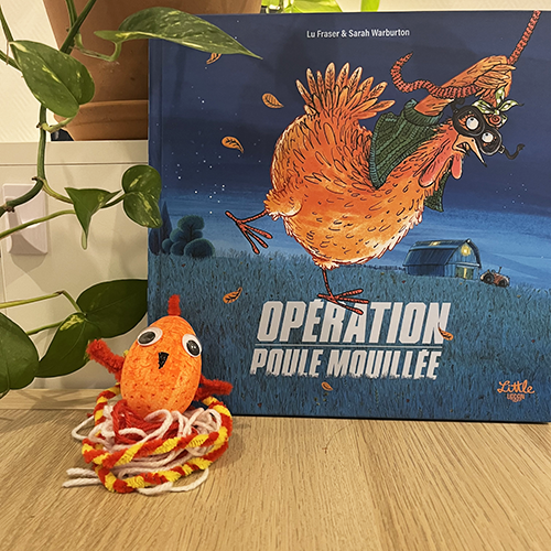 Fabrique ta mini poule