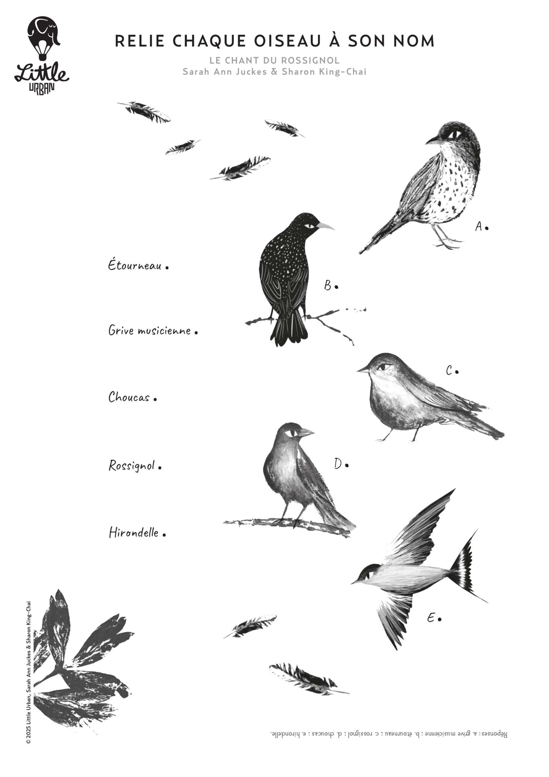 Relie chaque oiseau à son nom