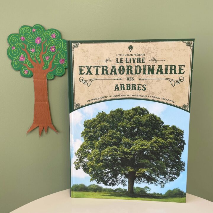 Crée ton arbre extraordinaire