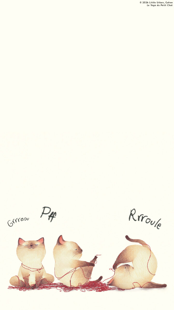 Le yoga du petit chat