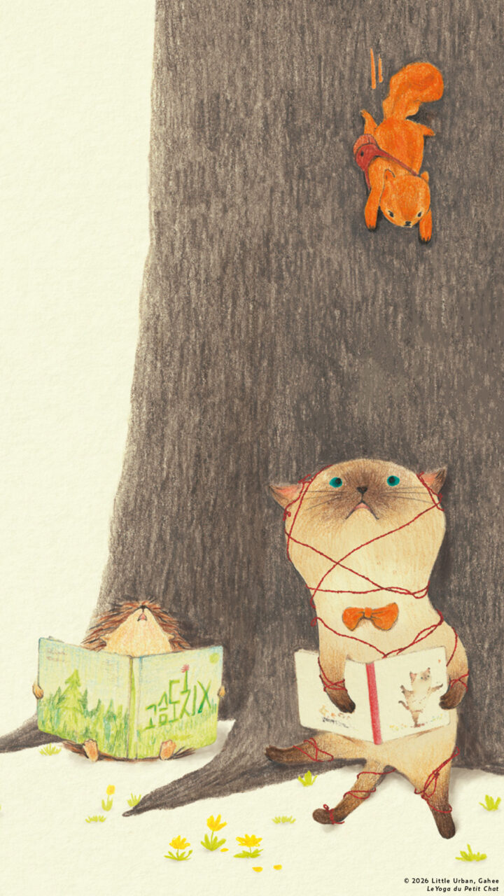 Le yoga du petit chat