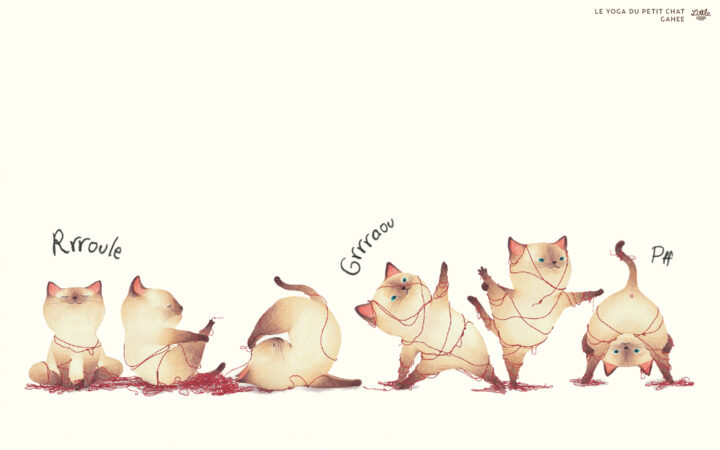 Le yoga du petit chat